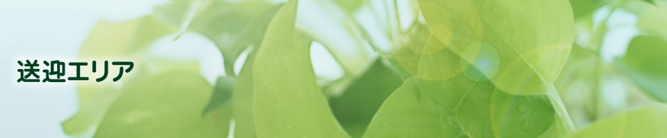 �̂��݃��[�N�V���b�v �r���b�W�̉�